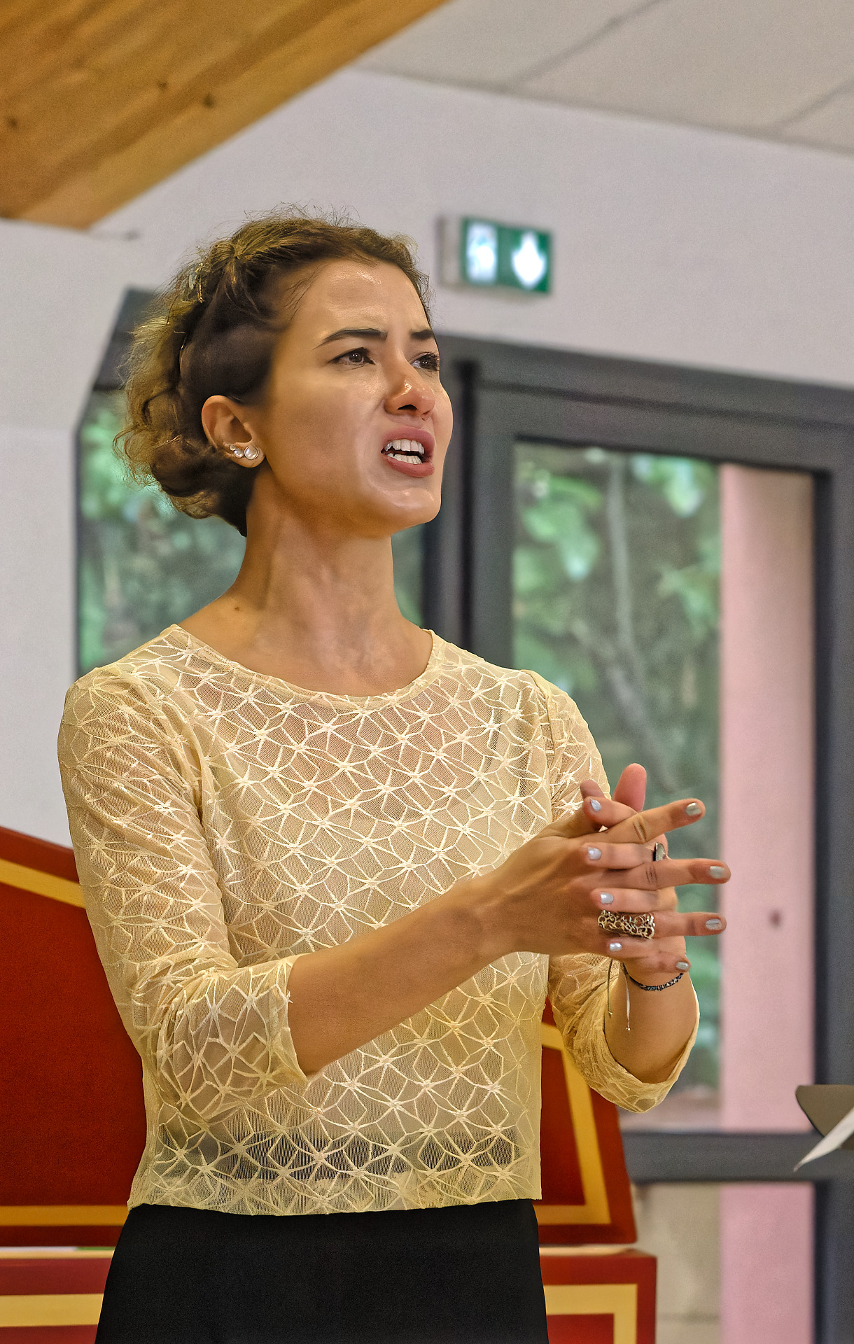 Chamber Recital, Paris